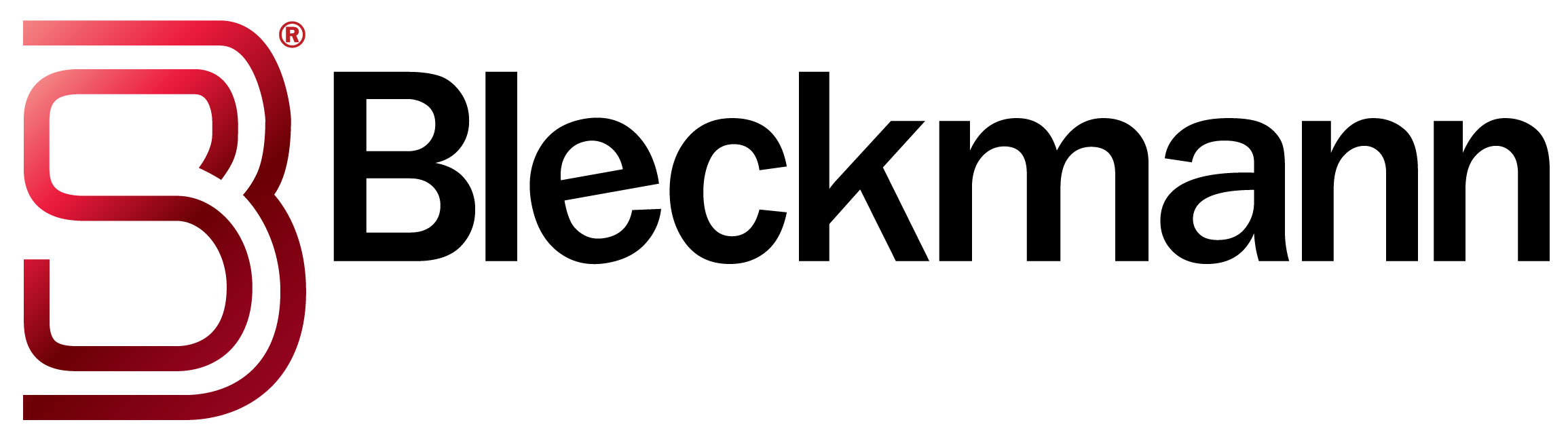 Bleckmann Logo Network